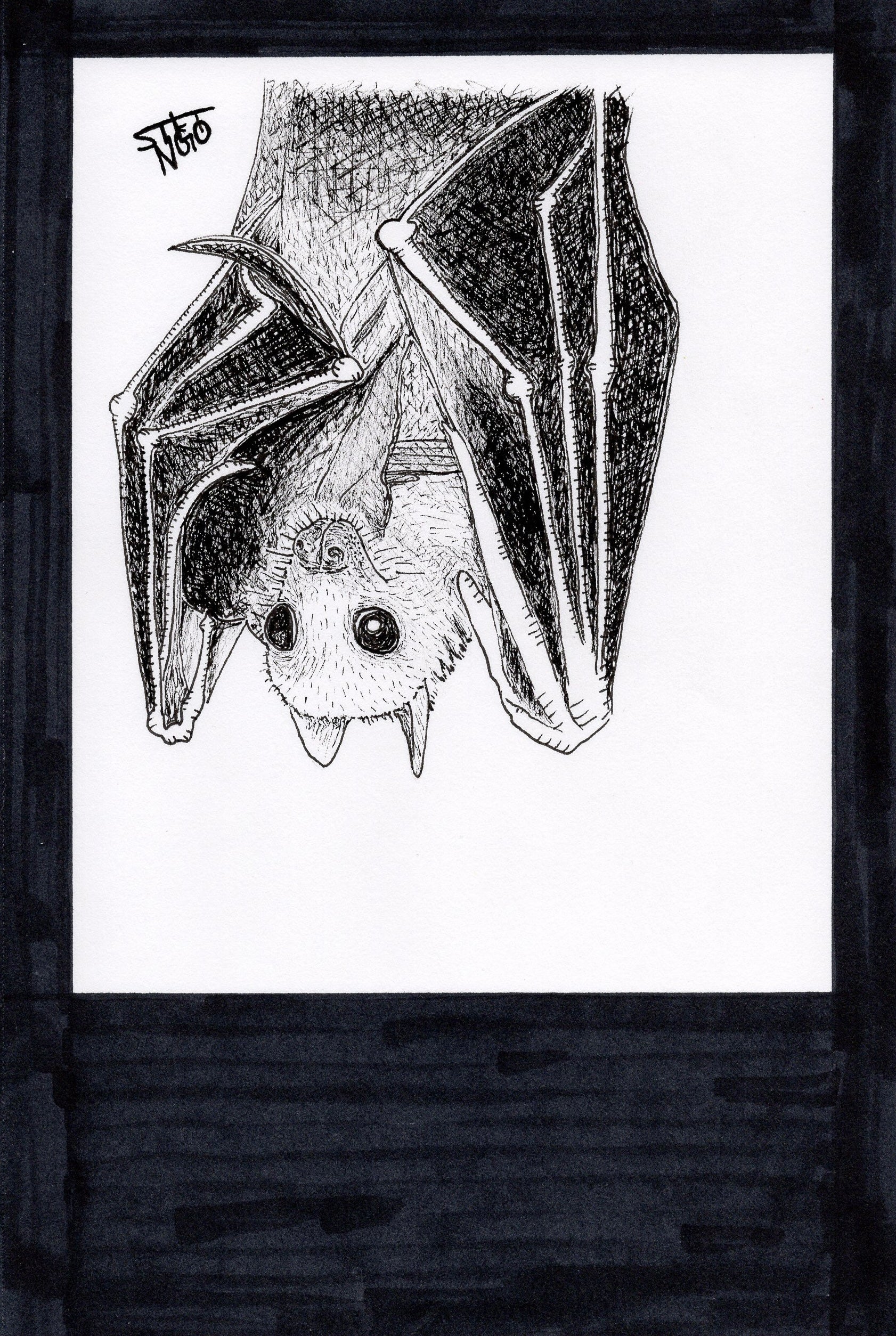 fruit bat print