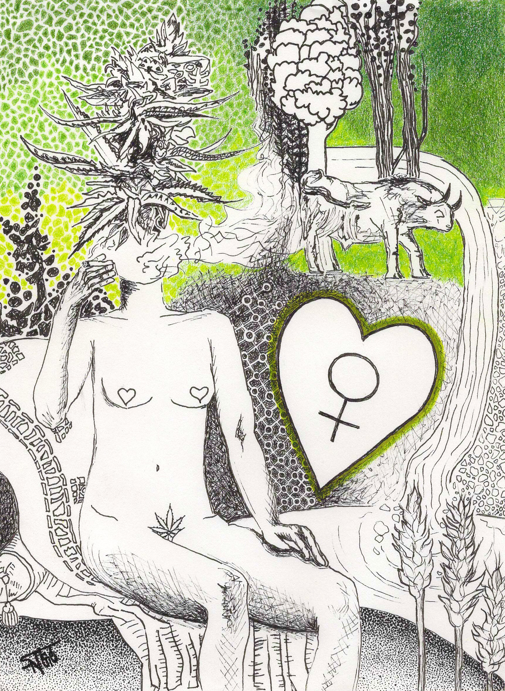 taurus print